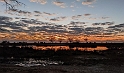 Hippo pool sunrise